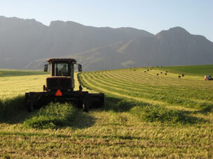 Harvester harvesting wheat in the Overberg region of South Africa with the Langeberg mountains as a backdrop.